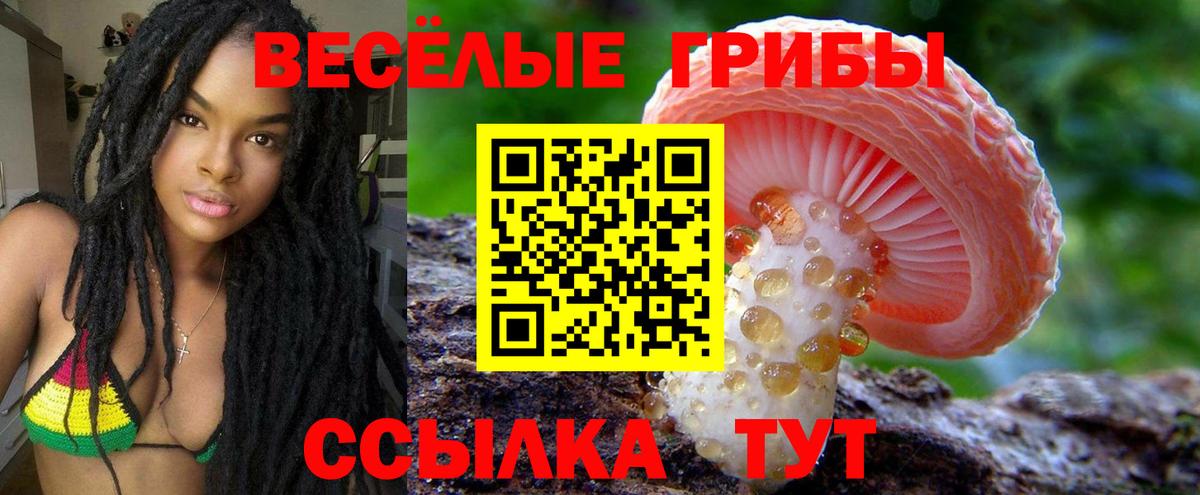 Псилоцибиновые грибы Psilocybine cubensis Сунжа