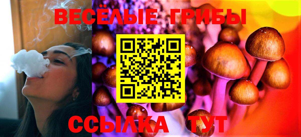 Галлюциногенные грибы мухоморы  Вход с VPN  Сунжа  Псилоцибиновые грибы Psilocybine cubensis 